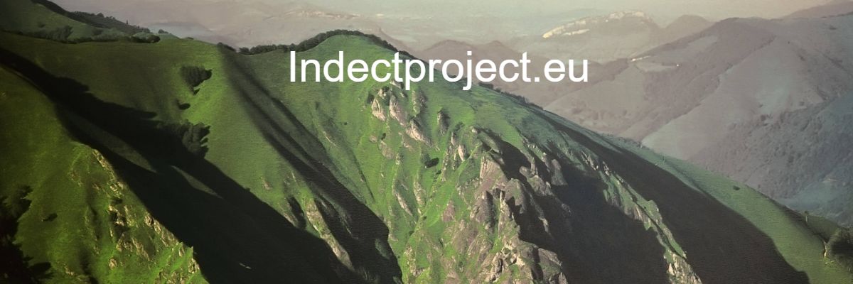 indectproject.shwth.top